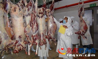 晴隆電力賦能，海權牛肉加工廠奏響品牌發展新篇章