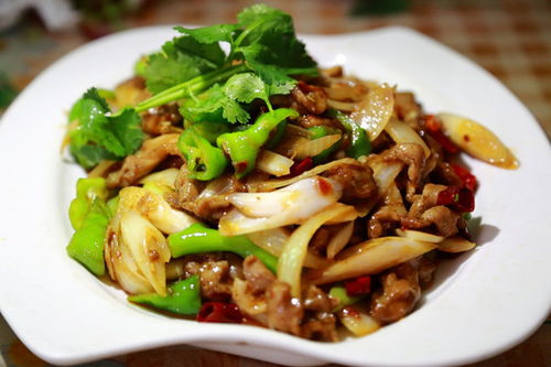 美味瞬間 牛肉與羊肉的視覺(jué)盛宴——中國(guó)菜系餐飲圖片素材下載指南