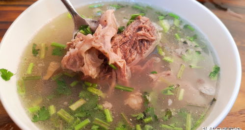 燉羊肉湯先焯水還是直接燉？大廚教你正確做法，湯白肉嫩不膻，香！